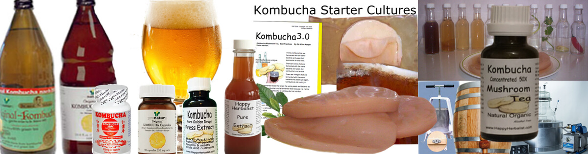 kombucha-tea-for-long-life.jpg kombucha-tea-for-long-life.jpg
