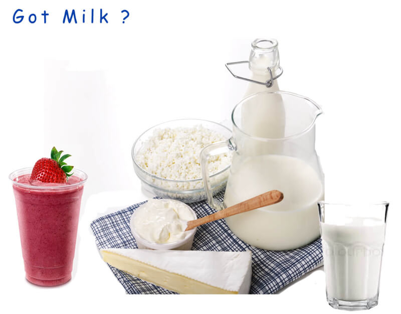 milk-ferments-raw-live-natural-functional-food-2.jpg milk-ferments-raw-live-natural-functional-food-2.jpg