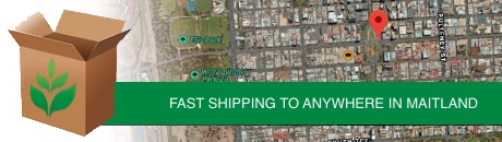 fake plants shipping to maitland map
