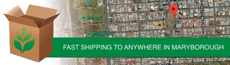 fake plants shipping to maryborough map
