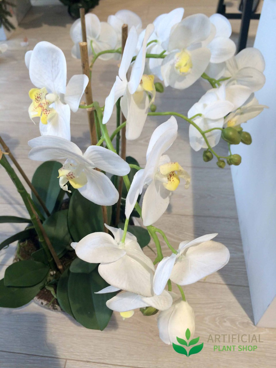 Artificial Fake Plants White Orchids in Round Pot 65cm eBay Artificial Fake Plants White Orchids in Round Pot 65cm eBay