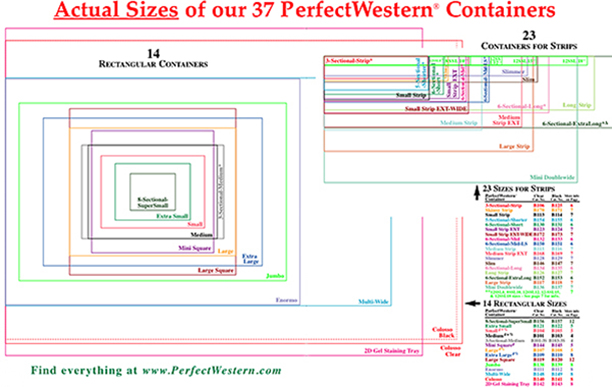 perfectwestern-actual-sizes-layout-web-opt.jpg