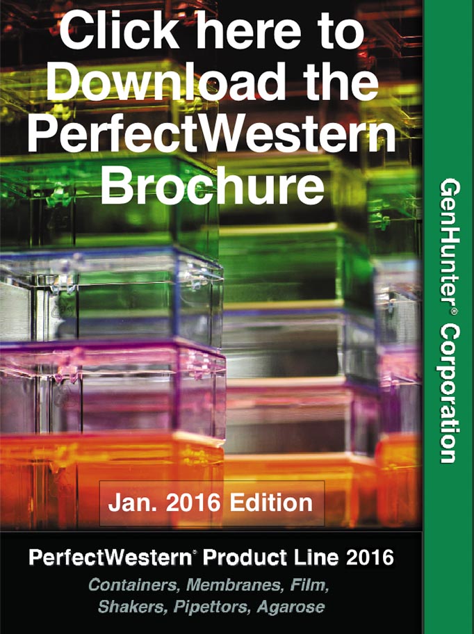 perfectwesternbrochure2016coverdownload.jpg