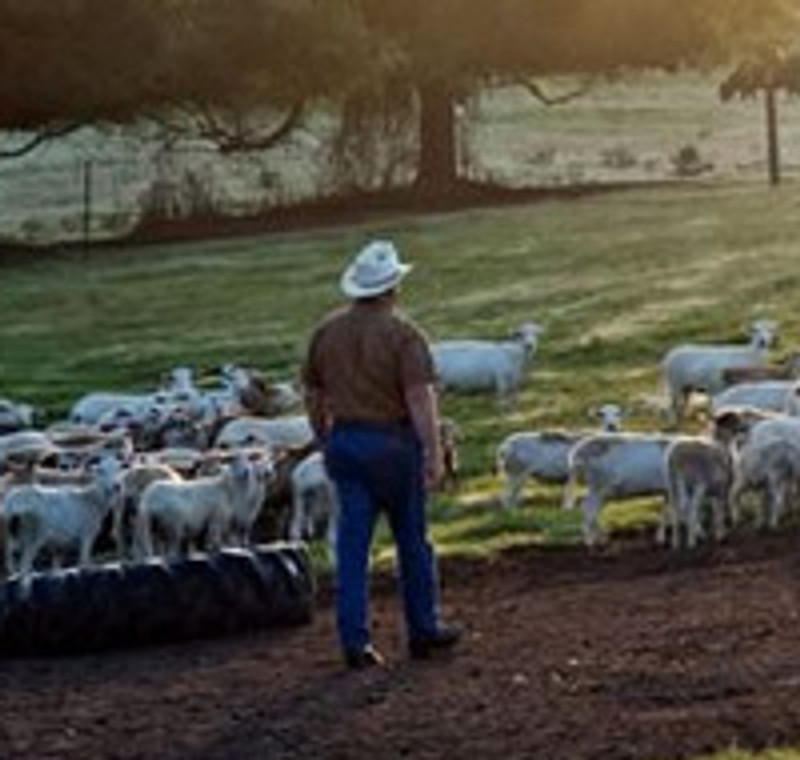 TDF13 Spotlight: White Oak Pastures