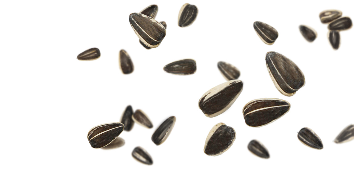 Sunflower Seeds, Pumpkin Seeds & Pistachios - GIANTS