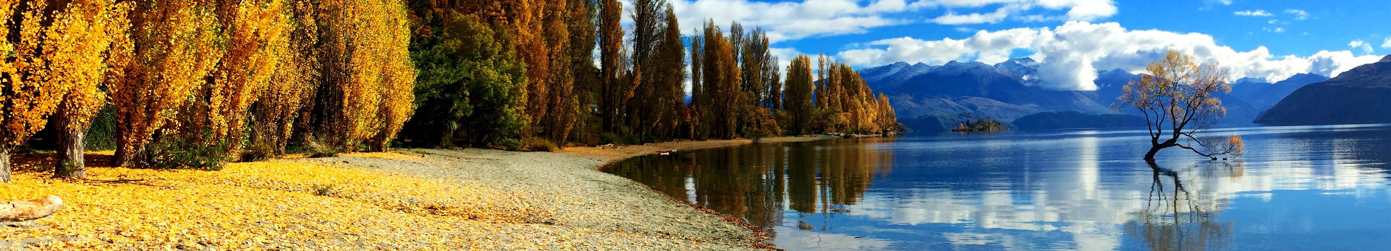 rsz-autumn-trees-colour-that-wanaka-tree-april-2015.jpg rsz-autumn-trees-colour-that-wanaka-tree-april-2015.jpg
