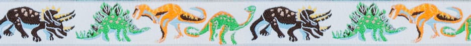 dinosaur1.jpg dinosaur1.jpg