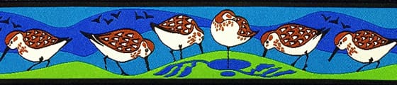 sandpipers-blue-lime-.jpg sandpipers-blue-lime-.jpg