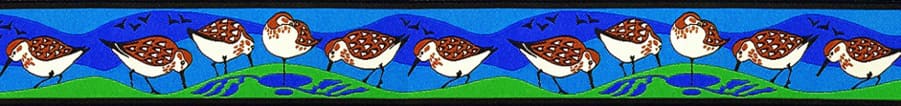 sandpipers-lime-sequence1.jpg sandpipers-lime-sequence1.jpg