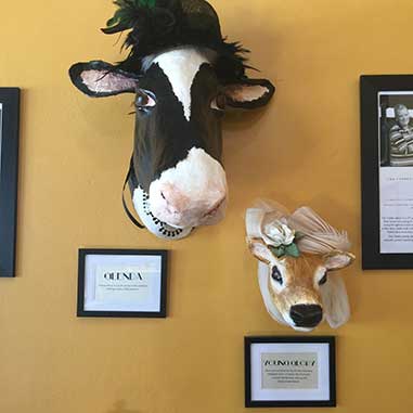 cows-in-hats-dairy-bar.jpg