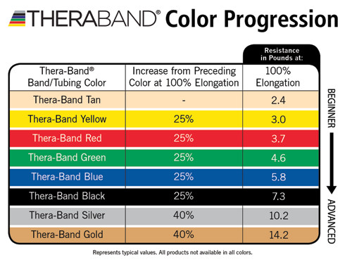 TheraBand Rehab & Wellness Station | Exercise & Rehab | Vitality Depot