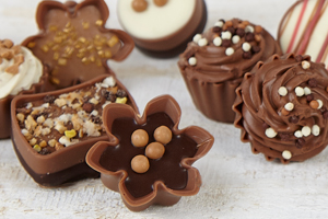 Image result for chocoholics