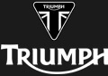 Saddlebags for Triumph