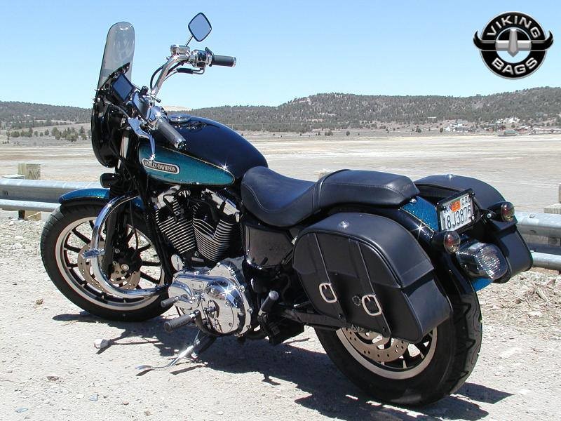Harley Davidson Sportster 1200 Low