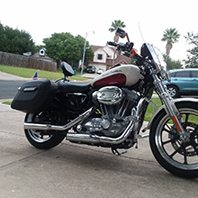 Harley-Davidson sposter 883 Low