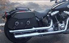 Ted's Harley-Davidson Softail Slim w/ Pennacle Series Leather Saddlebags