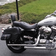 harley-davidson-2005-xl1200c-motorcycle-saddlebag