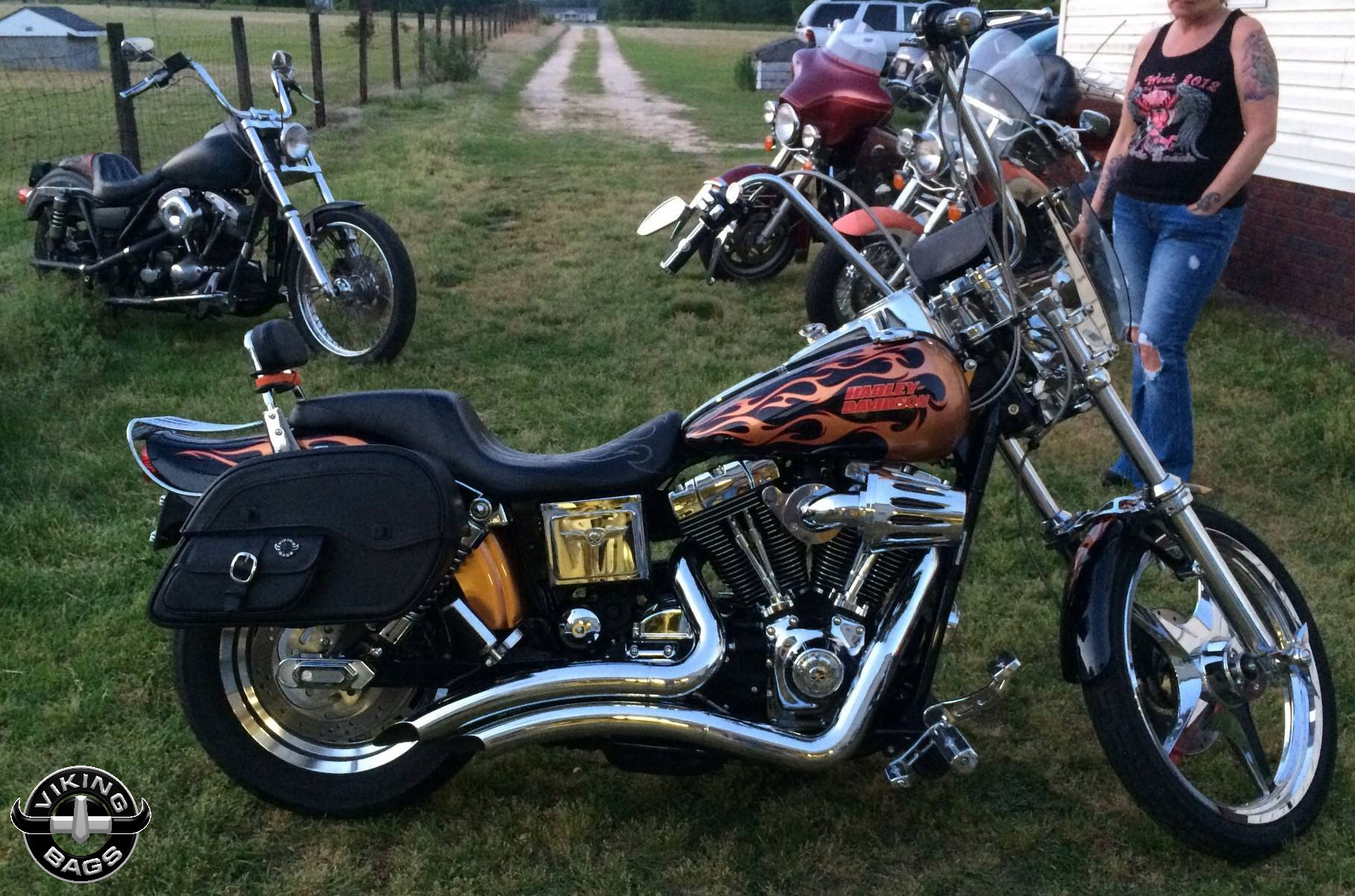 Harley Davidson Dyna Wide Glide Bags