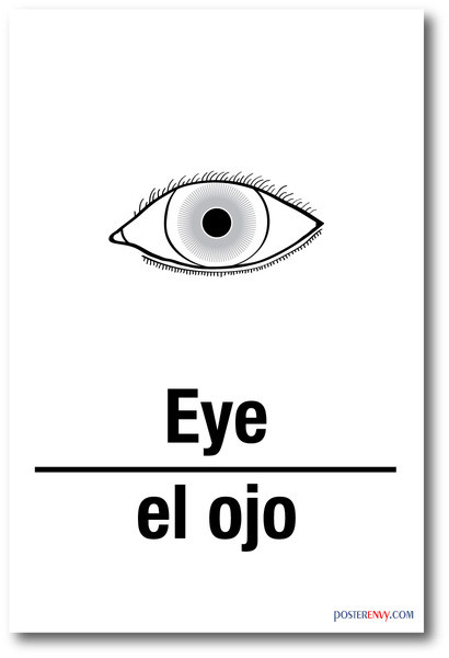 el-ojo-eye-in-spanish-new-foreign-language-educational-classroom