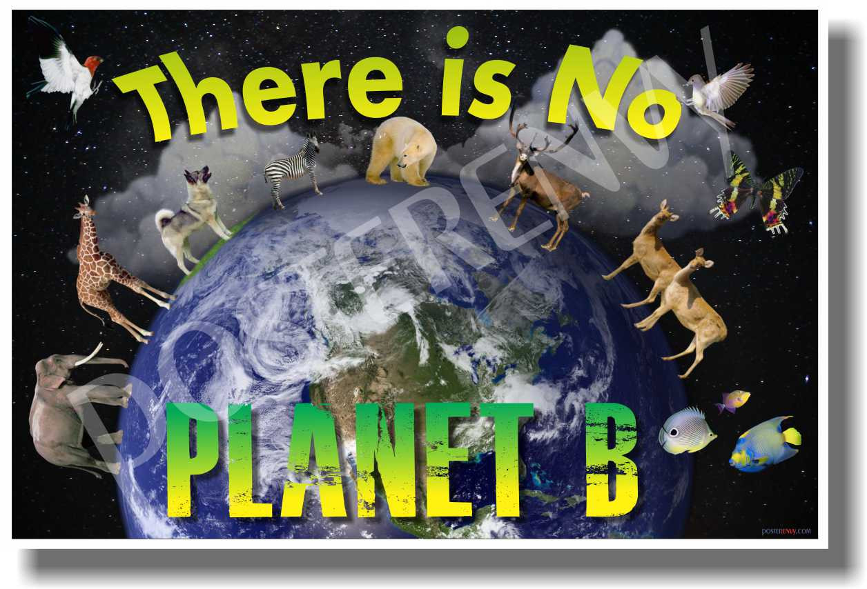 PosterEnvy - There Is No Planet B - Classroom Motivational Poster (cm950)