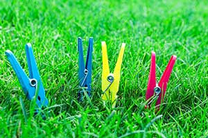 pegs on lawn pegs on lawn