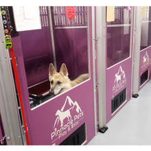 Pinnacle Pets Dog Kennels.