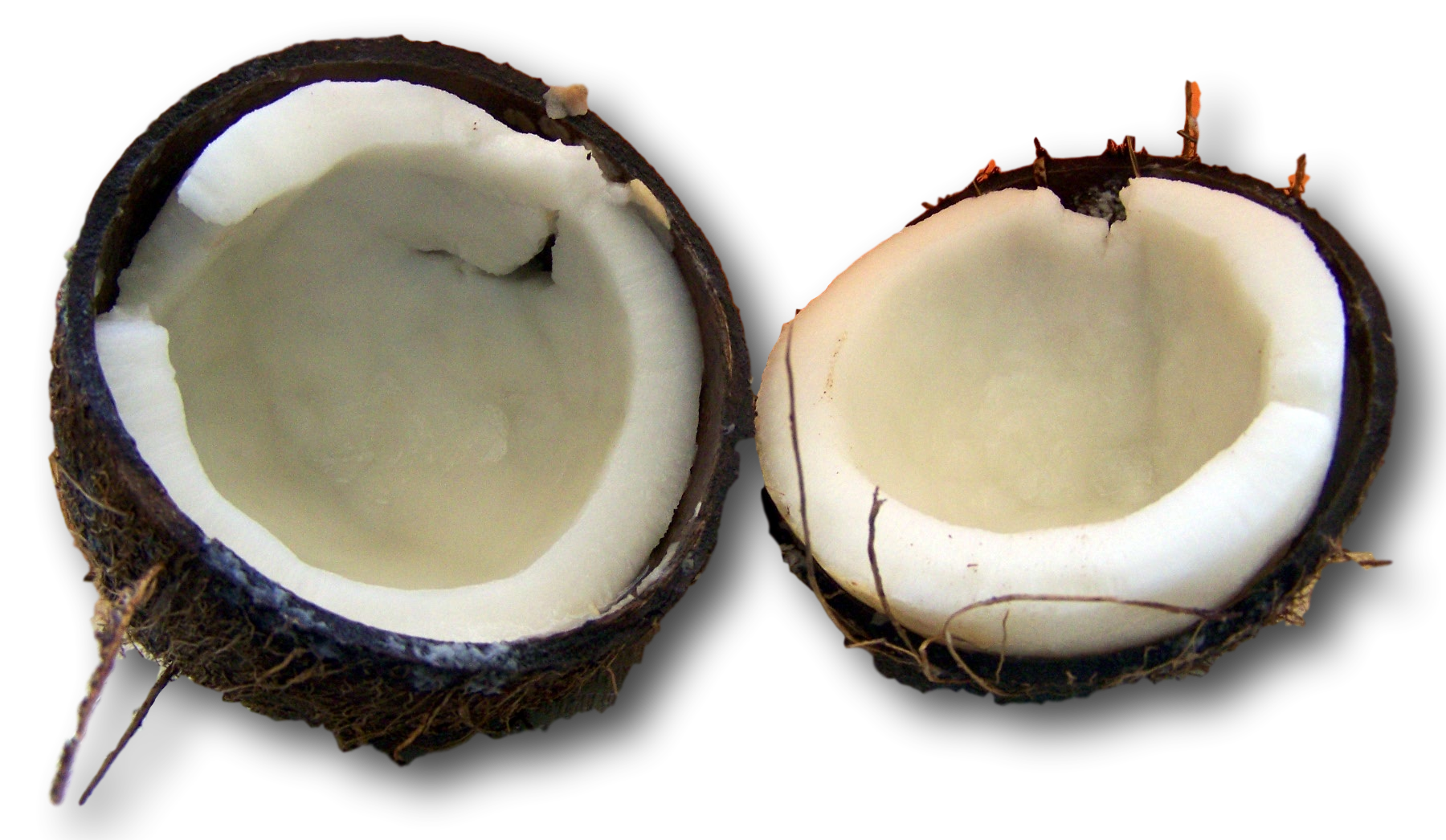 coconut oil hair treatment for hair loss and dry, damaged hair