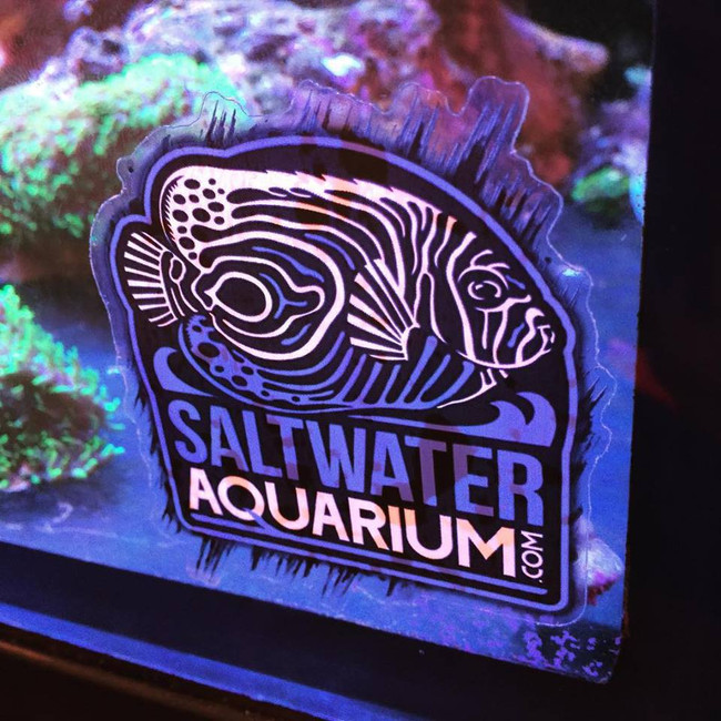 saltwateraquarium com logo sticker on clear limit 1 free item per