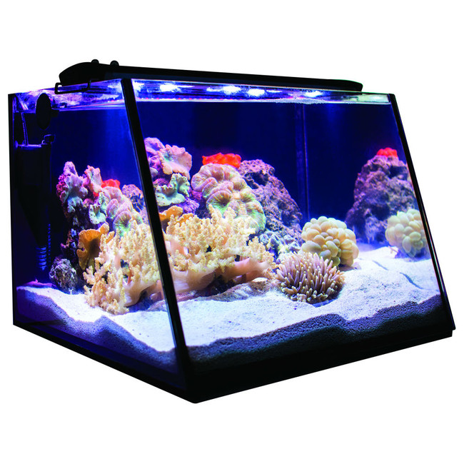 full view aquarium 5 gallon tank only lifegard