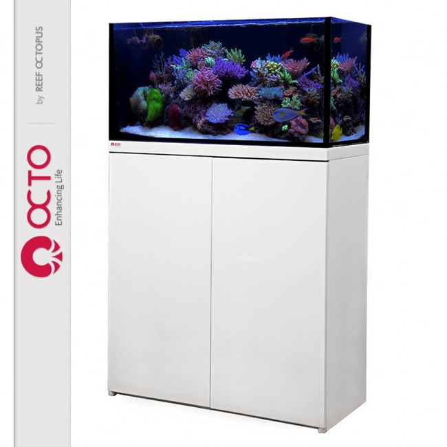 octo lux t60 32gal