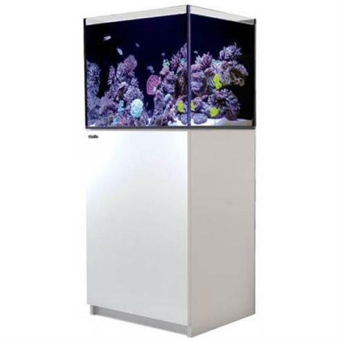 reefer 170 43 gallon