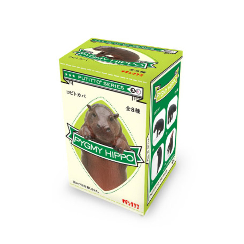Putitto Pygmy Hippo on the Cup : Blind Box
