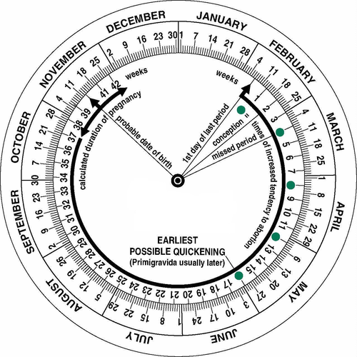 Pregnancy Due Date Calculator Wheel | Four Square Healthcare Ltd