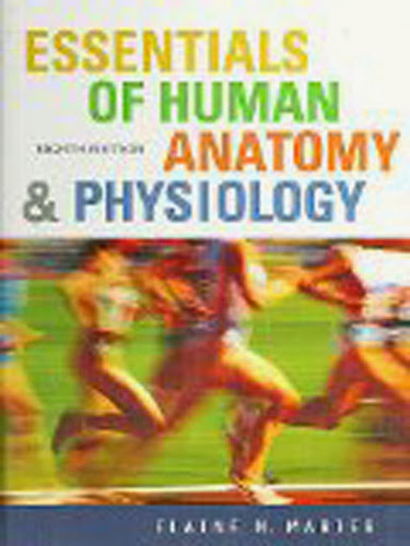 Essentials Of Human Anatomy And Physiology By Elaine