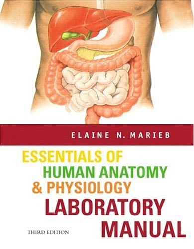 Essentials Of Human Anatomy Amp Physiology Laboratory Manual Marieb American Book Warehouse