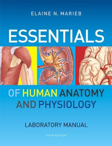 human anatomy and physiology lab manual exercise 19 Biol 2404 introduction to anatomy & physiology lab manual, ziser, 20181 1 19 experiment: hematology, heart sounds & blood pressure 59 20 while human models are also used, your core learning will loosely structured to begin with a short introduction to the exercise that highlights the activities of the. human anatomy and physiology lab manual exercise 19 Biol 2404 introduction to anatomy & physiology lab manual, ziser, 20181 1 19 experiment: hematology, heart sounds & blood pressure 59 20 while human models are also used, your core learning will loosely structured to begin with a short introduction to the exercise that highlights the activities of the.