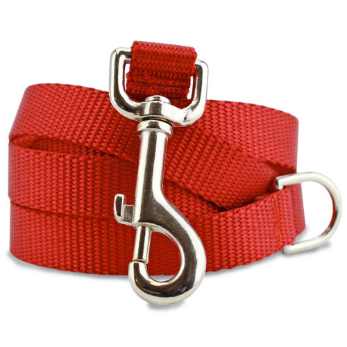 Red Nylon Dog Leash