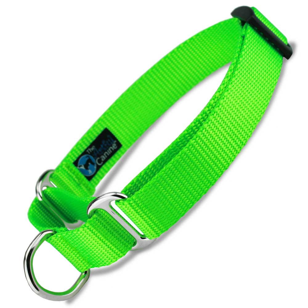 Lime Green Nylon Martingale Collar