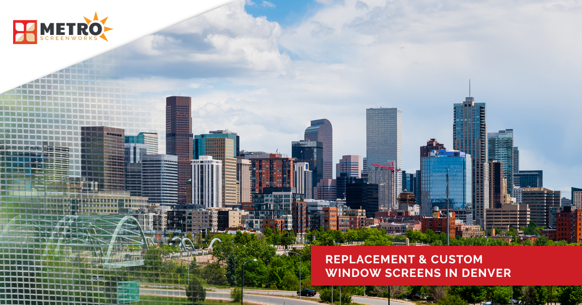 Replacement & Custom Window Screens in Denver