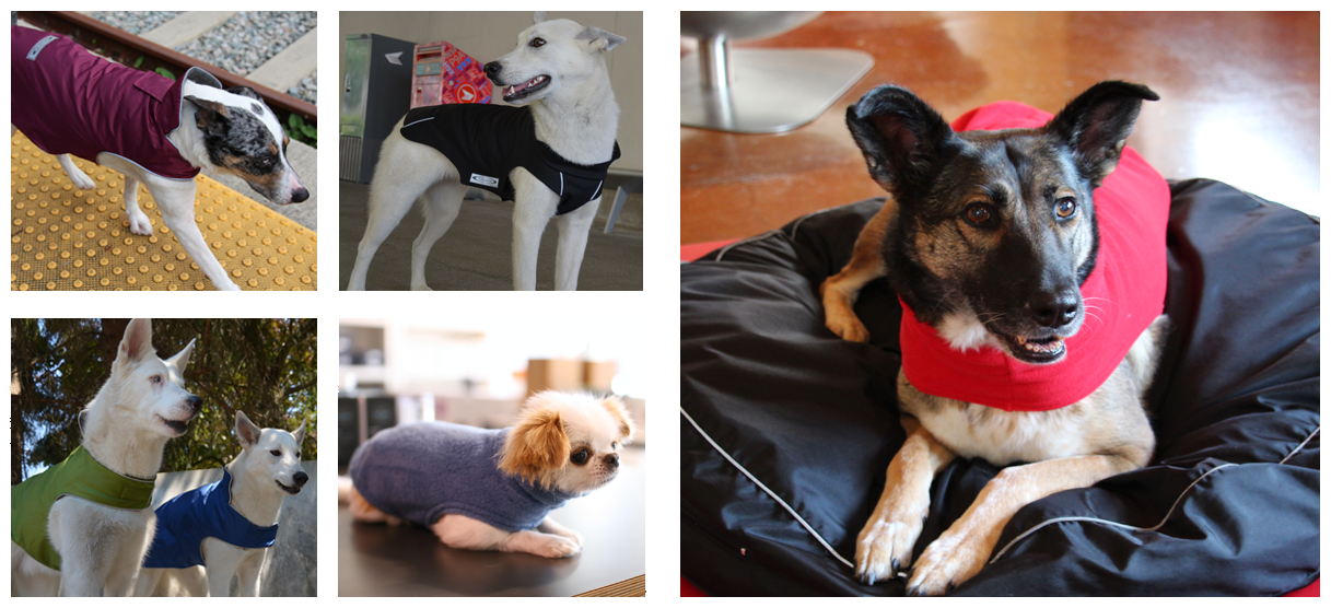 Shop Now for Quality Dog Coats Highest quality dog products made in North America