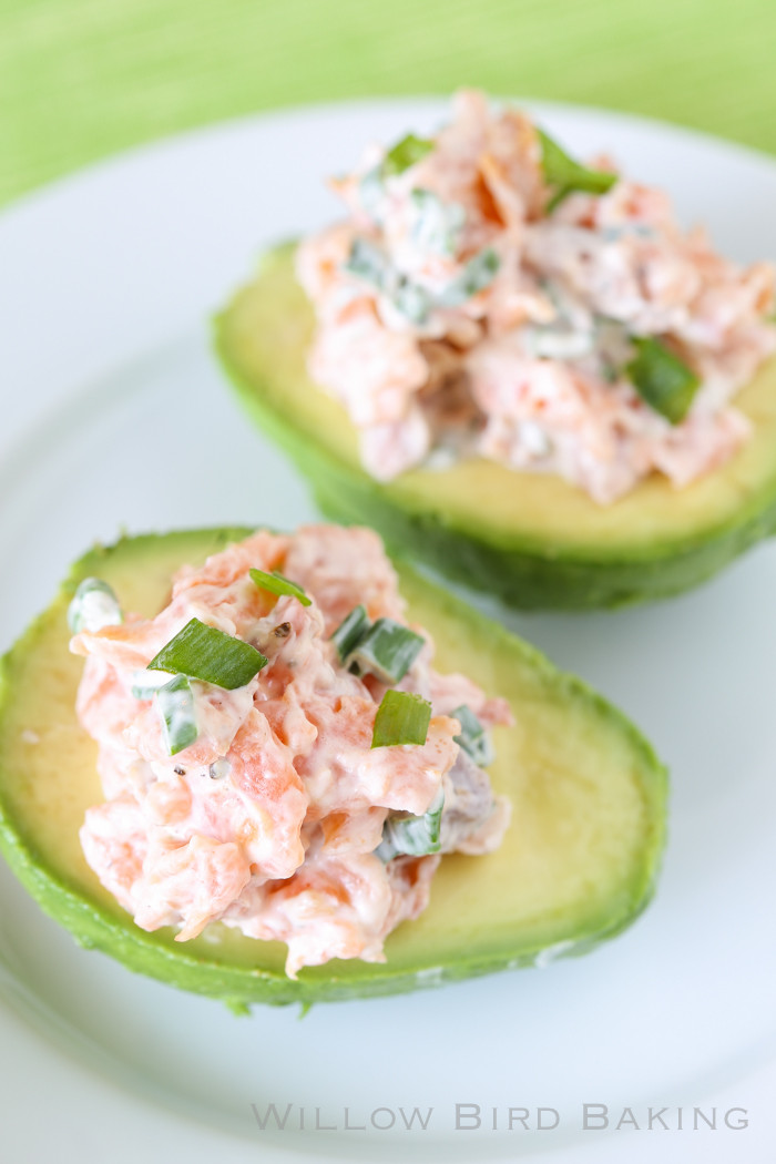 America S Test Kitchen Smoked Salmon America S Test Kitchen Smoked Salmon