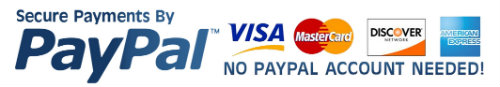 PayPal, Visa, Mastercard, Amex