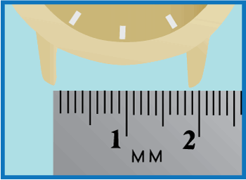 measure for a watch band