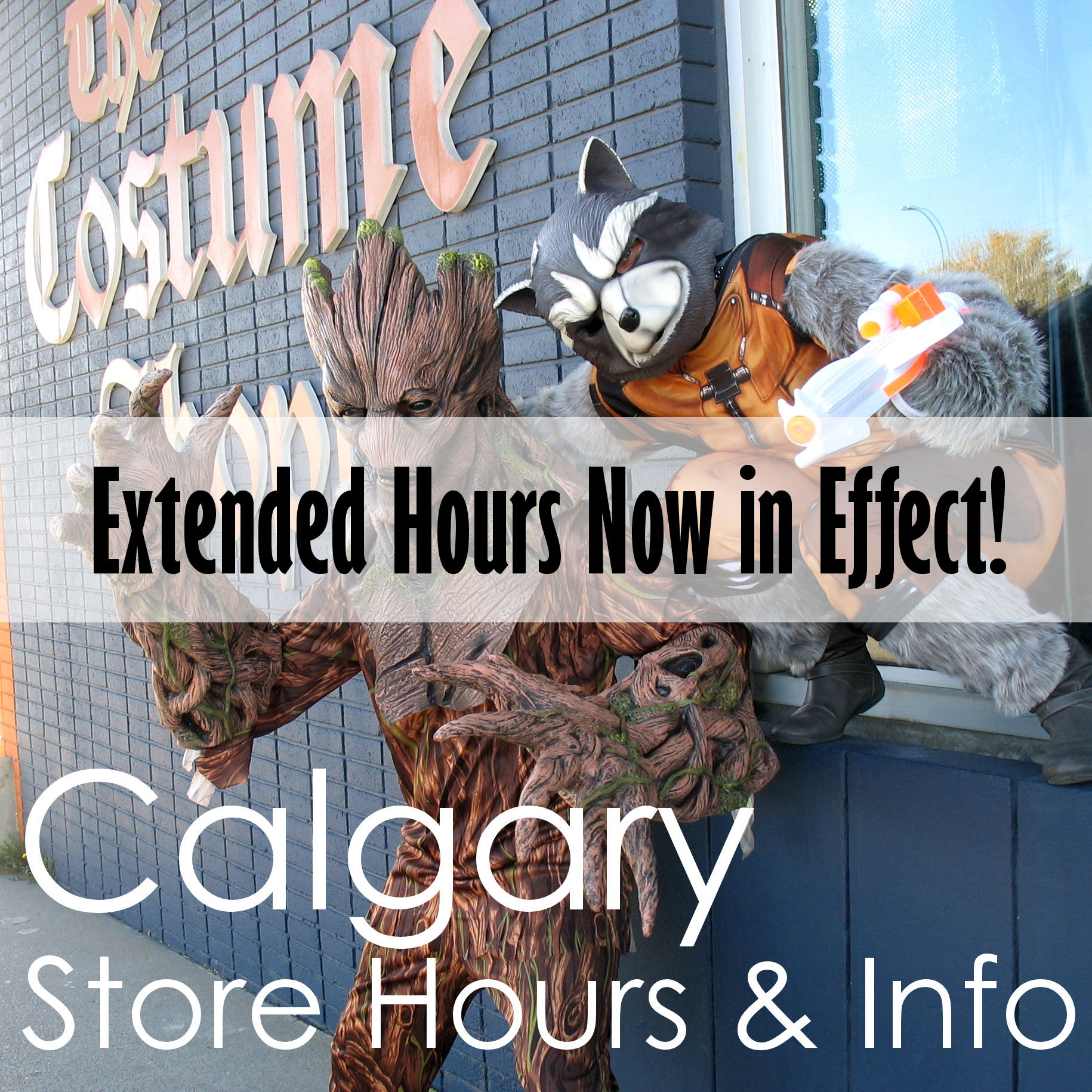 The Costume Shoppe Canada's Halloween Costume Store