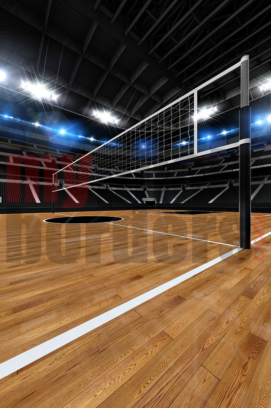 Digital Sports Background - Volleyball Stadium II