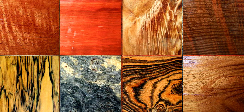 global-wood-source-exotic-wood-source-campbell-ca