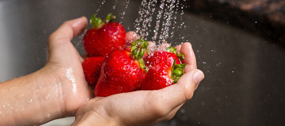 how to freeze strawberries and other berries igift pty ltd how to freeze strawberries and other berries igift pty ltd