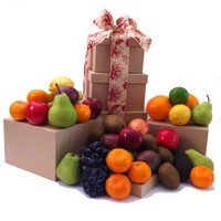 Fruit Only Tower Gift - Free Shipping - Sydney, Melbourne, Brisbane, Gold Coast & Canberra