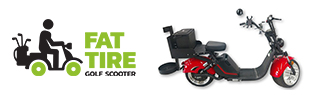 5% Off Fat Tire Cruiser 3.0 Scooter!