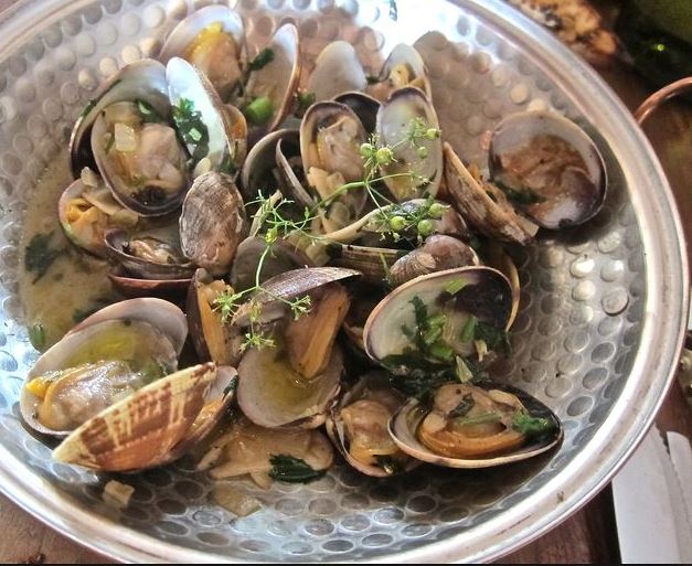 clams-vino-verde.jpg